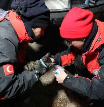 Kahramanmaraş merkezli 10 ili etkileyen büyük depremde mucize kurtuluşlar art arda geliyor. Deprem bölgesinde enkaz altında kalan can dostlarımız da kurtarma ekiplerinin yoğun çabaları sonrasında kurtarılıyor. Kameralara yansıyan sıcak görüntüler insanların içini ısıtıyor