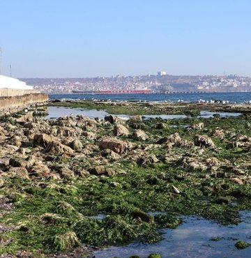 Tekirdağ