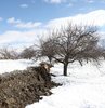 Kahramanmaraş merkezli 7.7 ve 7.6 büyüklüklerindeki depremde on binlerce insan hayatını kaybetti, 100 binin üzerinde vatandaş yaralandı. Prof. Dr. Hasan Sözbilir, 7.6 büyüklüğündeki ikinci deprem için "İkinci büyük depremde 60 saniyede, 6,6 metre ötelenmenin gerçekleştiğini anlıyoruz" dedi