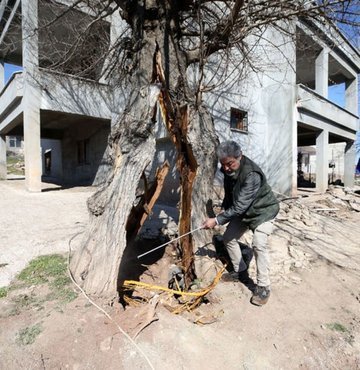 Kahramanmaraş’taki şaşırtan görüntüyü deprem uzmanı yorumladı