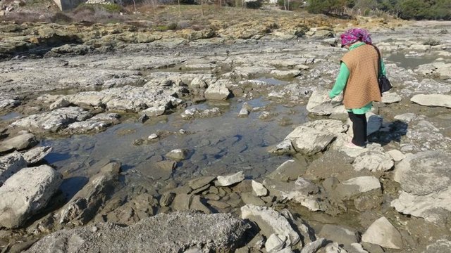 Mersin ve Muğla'da deniz suyu çekildi - Haberler