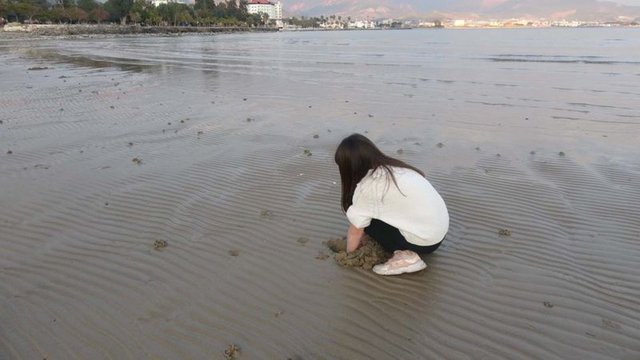 Mersin ve Muğla'da deniz suyu çekildi - Haberler