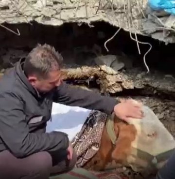 Kahramanmaraş merkezli depremler sonrasında Adıyaman bölgesindeki hasar tespit ve bulaşıcı hastalıklarla mücadele kapsamındaki çalışmalara katılan Ardahan İl Tarım ve Orman Müdürlüğü ekipleri, afetin 15