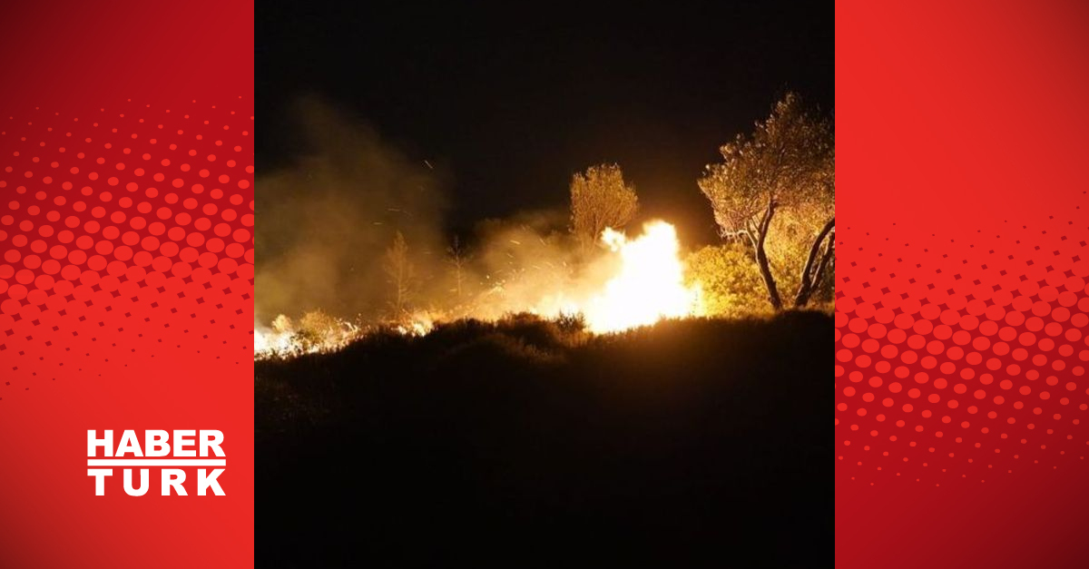 Çeşme’de ağaçlık alanda korkutan yangın