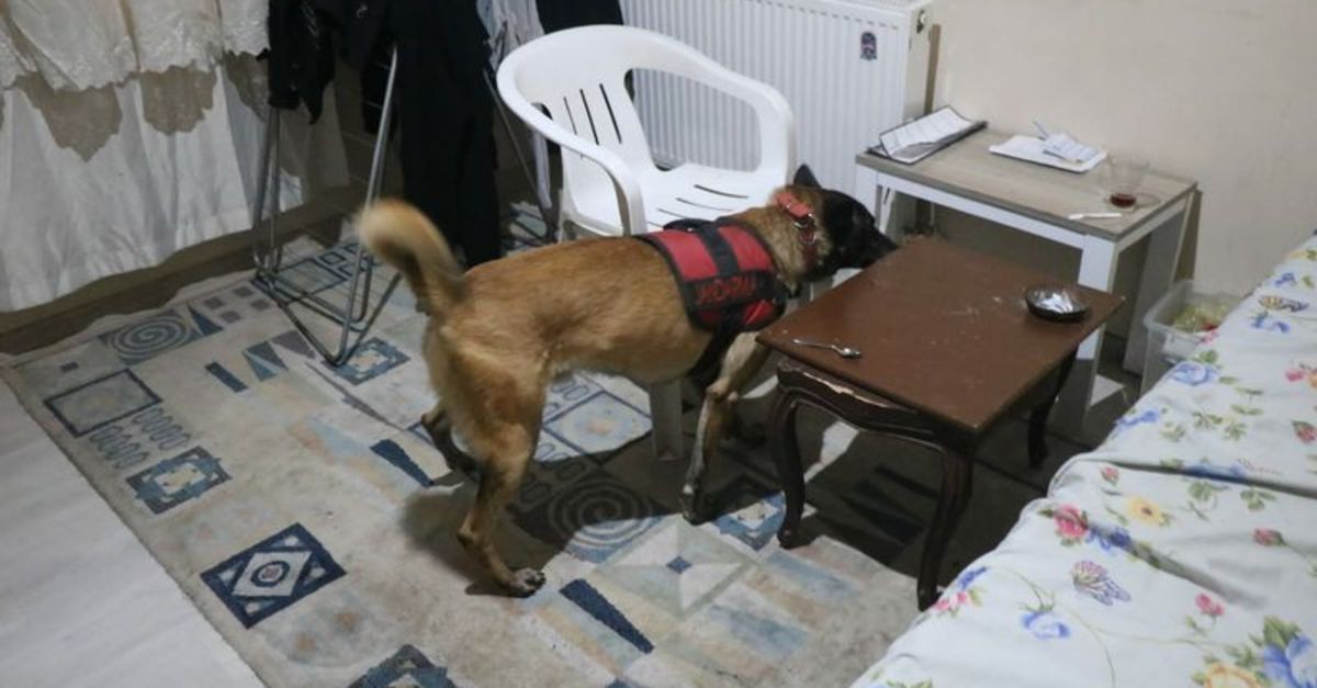 Muğla’da 10 adrese eş zamanlı ‘uyuşturucu’ operasyonu: 8 gözaltı
