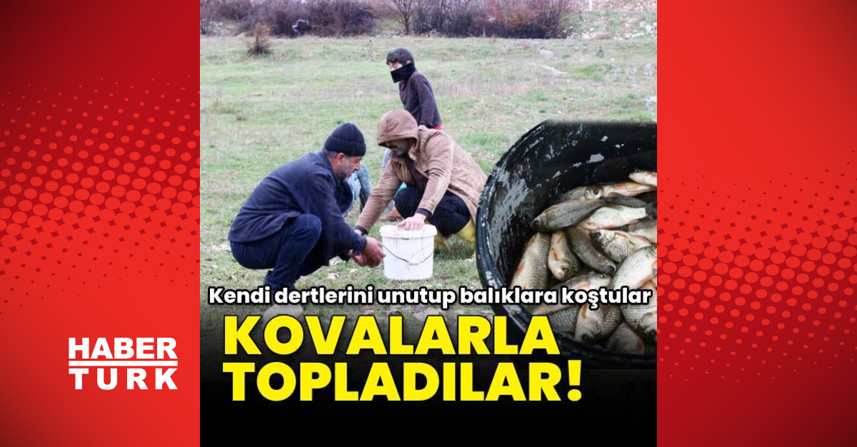 Depremzedeler karaya vuran balıkların yaşaması için seferber oldu