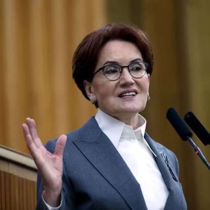 Akşener'den AK Partili Özlem Zengin'e destek