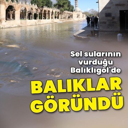 Sel sularının vurduğu Balıklıgöl'de balıklar göründü