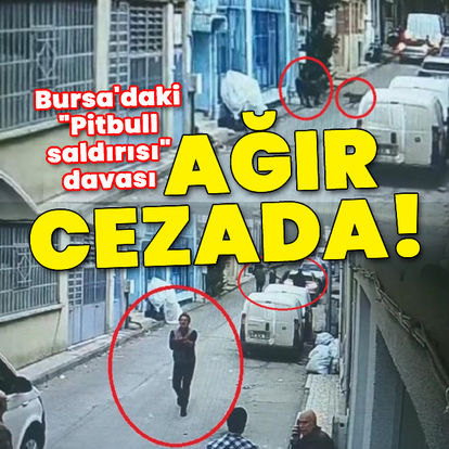 Bursa'daki "Pitbull saldırısı" davası ağır cezada! 