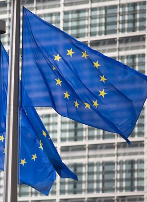 Benzinli ve dizel oto satış yasağı onaylandı