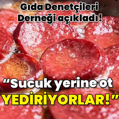 Gıda Denetçileri Derneği açıkladı! "Sucuk yerine ot yediriyorlar!"