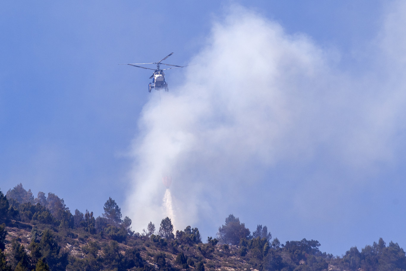 İspanya'da yılın ilk büyük orman yangını! Binlerce hektarlık alan kül oldu
