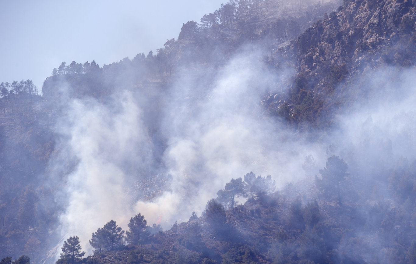 İspanya'da yılın ilk büyük orman yangını! Binlerce hektarlık alan kül oldu