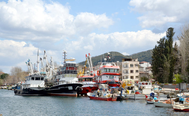 YOK OLUŞ! Son Dakika Haberi: Marmara Denizi'nde Balık Türü Ve Sayıları ...