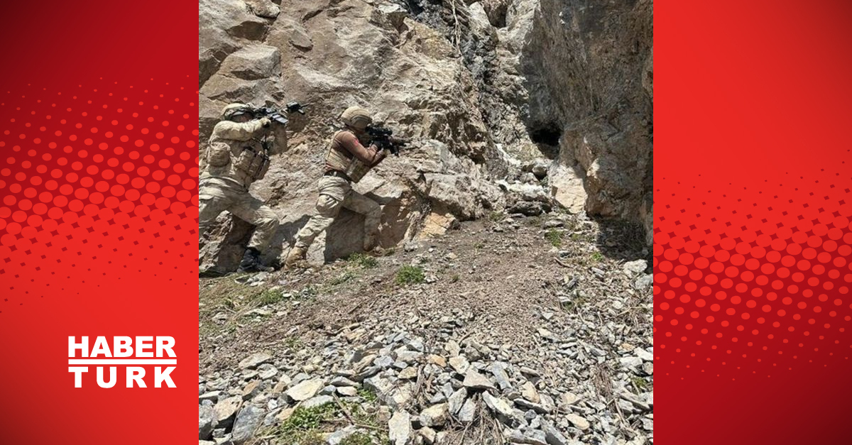 Silah ve mühimmat ele geçirildi