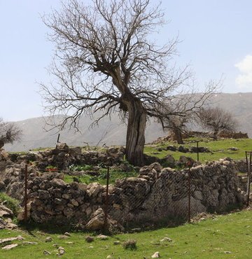Siirt