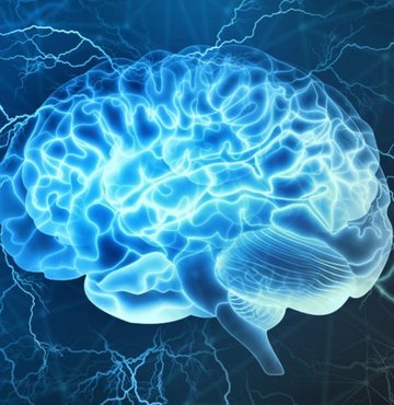 Nöroloji profesörü Richard Restak, hafızayı geliştirmek için duyuları kullanmak, anlamlı hikayeler yaratmak, büyük ekranlar tercih etmek gibi birçok önemli ipucu paylaştı