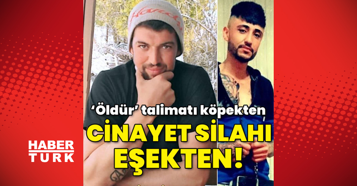 ‘Öldür’ talimatı köpekten, cinayet silahı eşekten!
