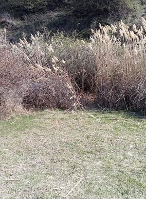 Ankara'da insan kafatası ve kemikleri beden bulundu