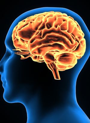 Güçlü hafızanın sırrı bunlarda saklı! Ömür boyu beyni koruyarak Alzheimer ve demansa şifa oluyor