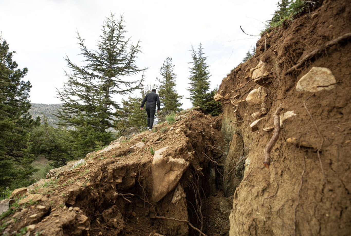 Kahramanmaraş'ta depremde oluşan yüzey çatlakları tarlaları parçaladı! - Öne çıkan haberler