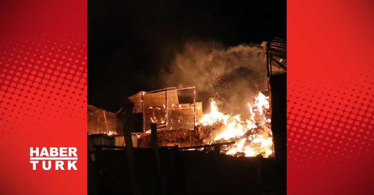 Bayburt’ta bir köyde çıkan yangında 3 ev, 6 ahır, 4 samanlık ve traktör yandı
