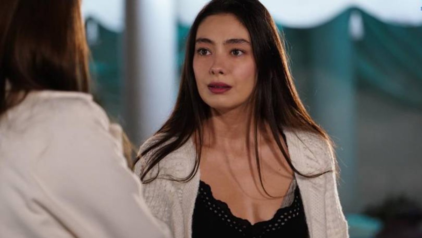 bu是什么意思  百度知道