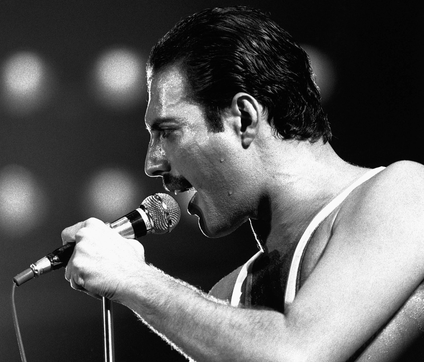 Mary Austin, Freddie Mercury'nin eşyalarını açık artırmaya çıkaracak - Magazin haberleri