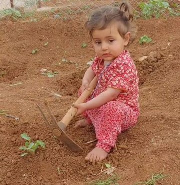Mardin