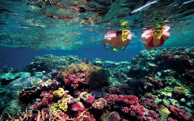Büyük Set Resifi Deniz Parkı (Avustralya)