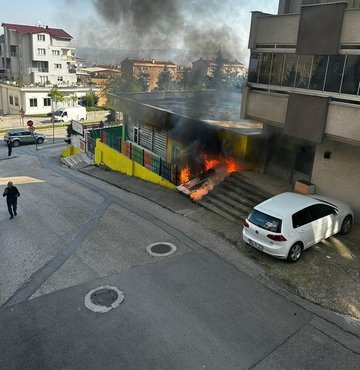 Bursa