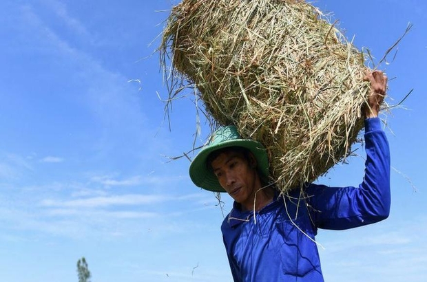 İklim değişikliği: Vietnam'da 44,1 dereceyle sıcaklık rekoru kırıldı