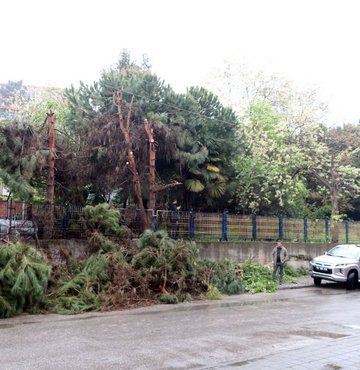 Zonguldak