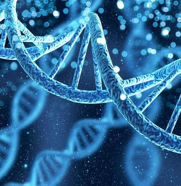 Bilim insanları, tıbbi araştırma konseptini değiştirmeye yardımcı olabilecek ve tüm insanları kapsayan güncellenmiş DNA haritasını yayımladı