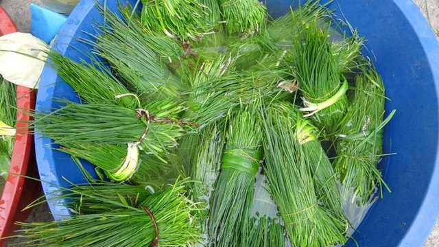 Kenger ve sirik otu tezgahlarda yerini aldı