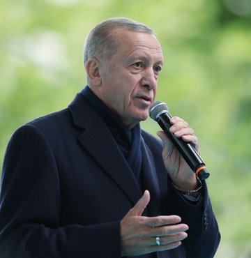 Cumhurbaşkanı Recep Tayyip Erdoğan, Sinan Oğan