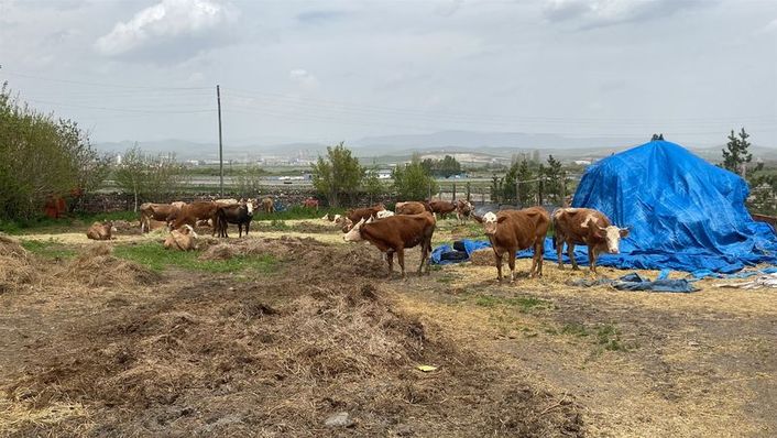 https://im.haberturk.com/2023/05/20/ver1684591001/3593328_e6a37095958f1a7ab1cac06c991c4052.jpg