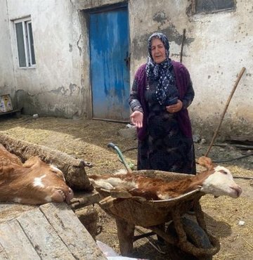 Kars