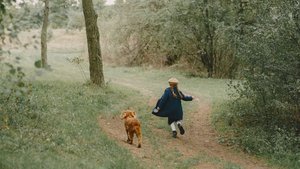 Köpeğinizin sizi takip etmesinin 3 sebebi