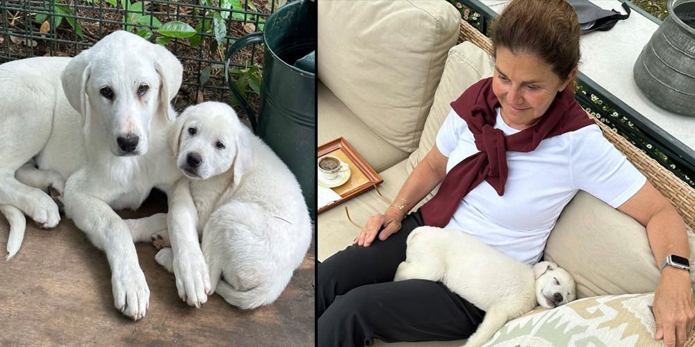 Eczacıbaşı köpekleriyle poz verdi