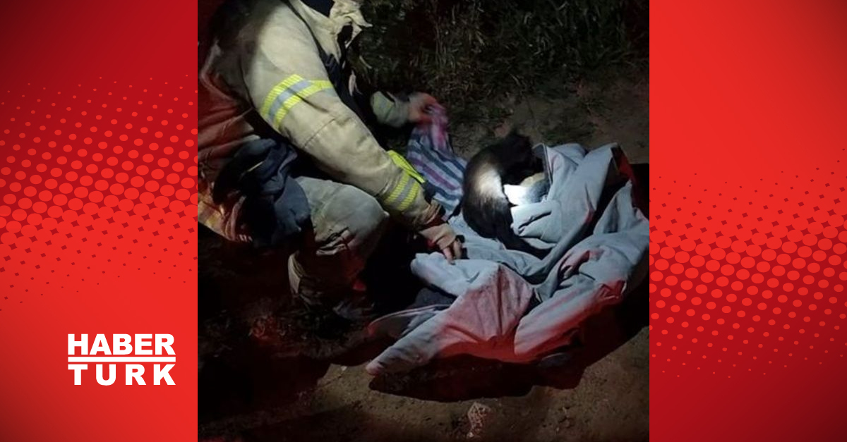 Beykoz’da kuyuya düşen bir kişi ve kedi kurtarıldı