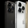 Vergisiz iPhone fiyatları listesi