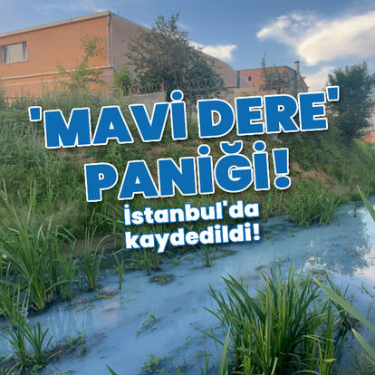 İstanbul Arnavutköy'de 'mavi dere' paniği!