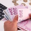 Aile Destek ödemeleri sorgulama ekranı!