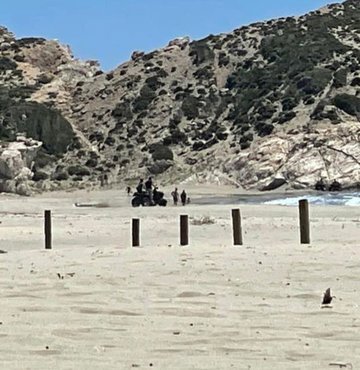 Caretta carettaların yuvalama alanlarından biri olan Patara kumsalında bir kez daha akılalmaz görüntüler ortaya çıktı. Kumsala yasak olmasına rağmen ATV ile giren tatilcilerin görüntüsü tepkilere yol açtı