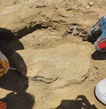 Maden Tetkik ve Arama Genel Müdürlüğünce (MTA) yürütülen Müze Araştırma Projesi kapsamında yapılan kazıda, 28 milyon yıllık olduğu değerlendirilen dev gergedan fosiline ait yeni parçalar bulundu