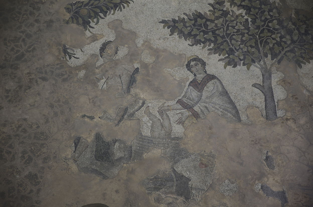 Achilles'in hayatı ve savaşçı Amazon kadınlarının mozaikleri Şanlıurfa'da sergileniyor.