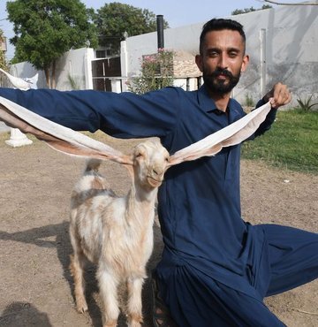 Pakistan