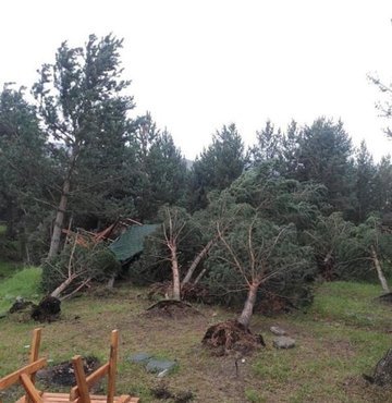Kars