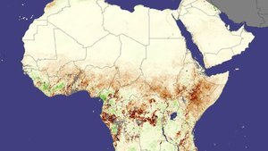 Afrika kıtası ikiye mi bölünüyor? Yeni bir okyanus mu oluşacak?